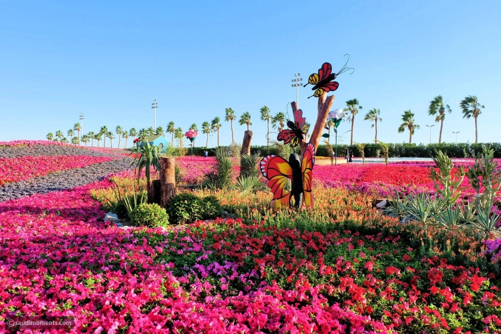 WhatsApp Image 2024-03-14 at 10.24.51.jpeg