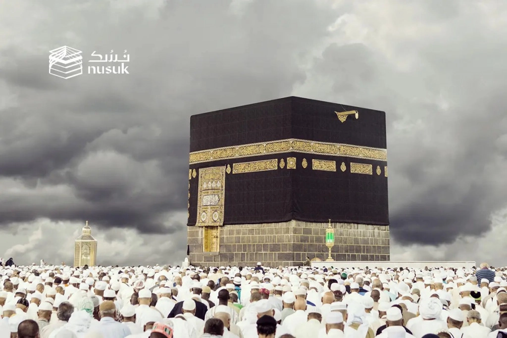 WhatsApp Image 2024-03-26 at 11.17.17 AM.jpeg