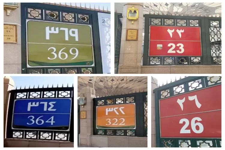 WhatsApp Image 2024-08-23 at 14.42.26.jpeg