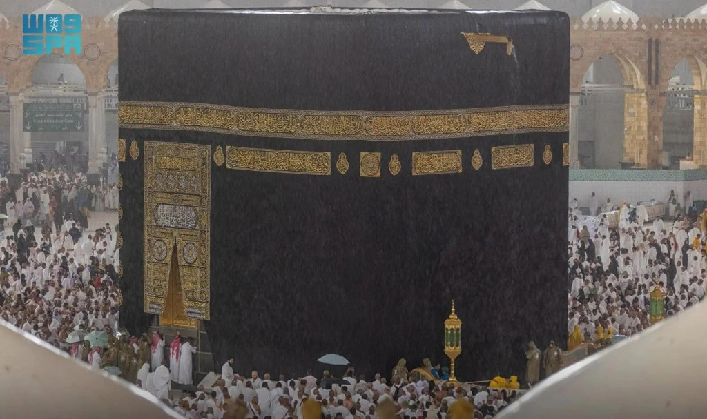 WhatsApp Image 2024-10-28 at 09.56.19.jpeg