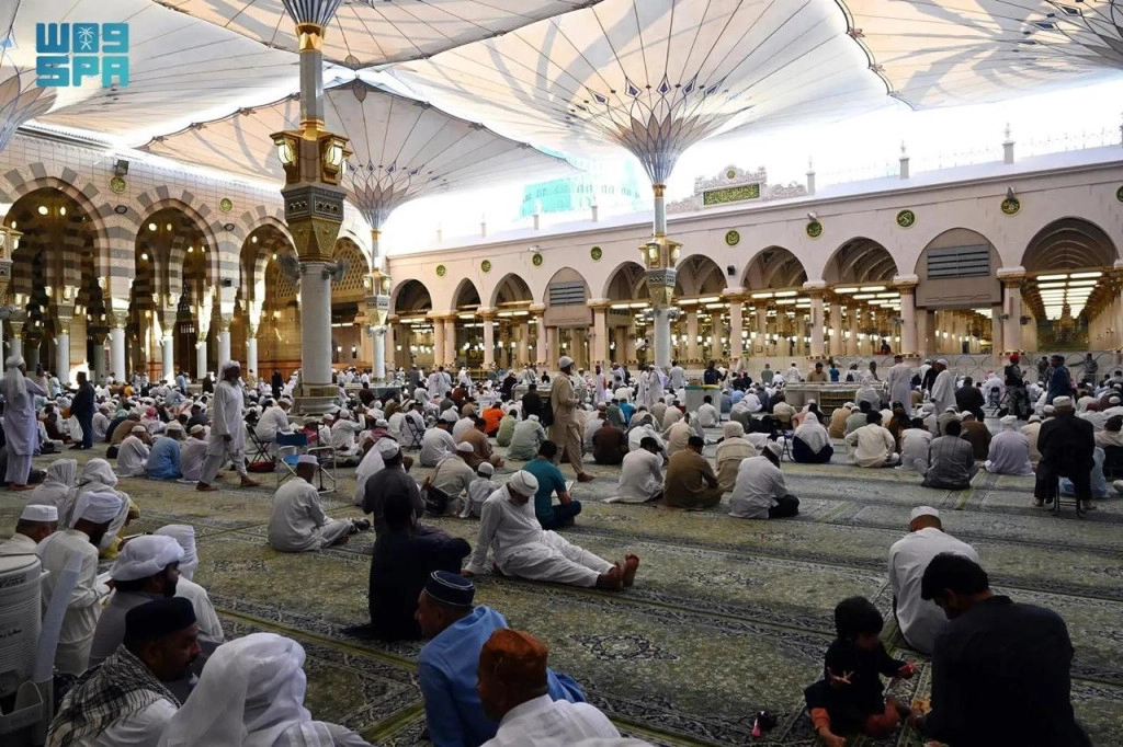 WhatsApp Image 2024-11-28 at 00.48.57.jpeg