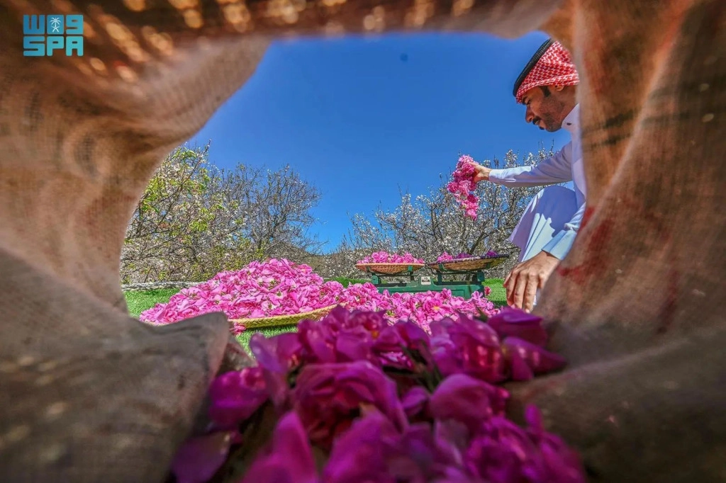 WhatsApp Image 2024-12-04 at 10.15.17.jpeg