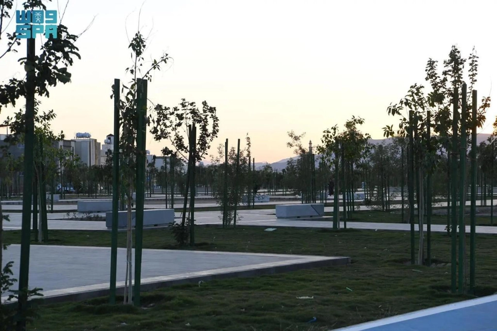 WhatsApp Image 2025-01-23 at 10.17.26 (1).jpeg