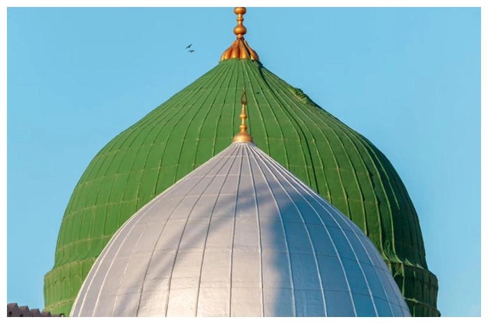 FotoJet - 2025-01-25T195826.681.jpg