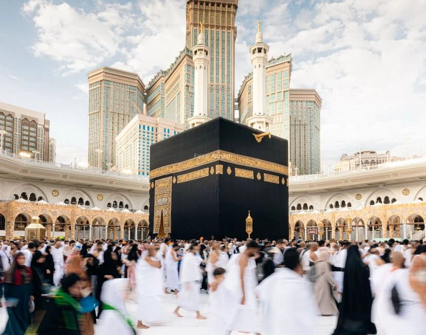 WhatsApp Image 2025-11-01 at 17.14.35.jpeg