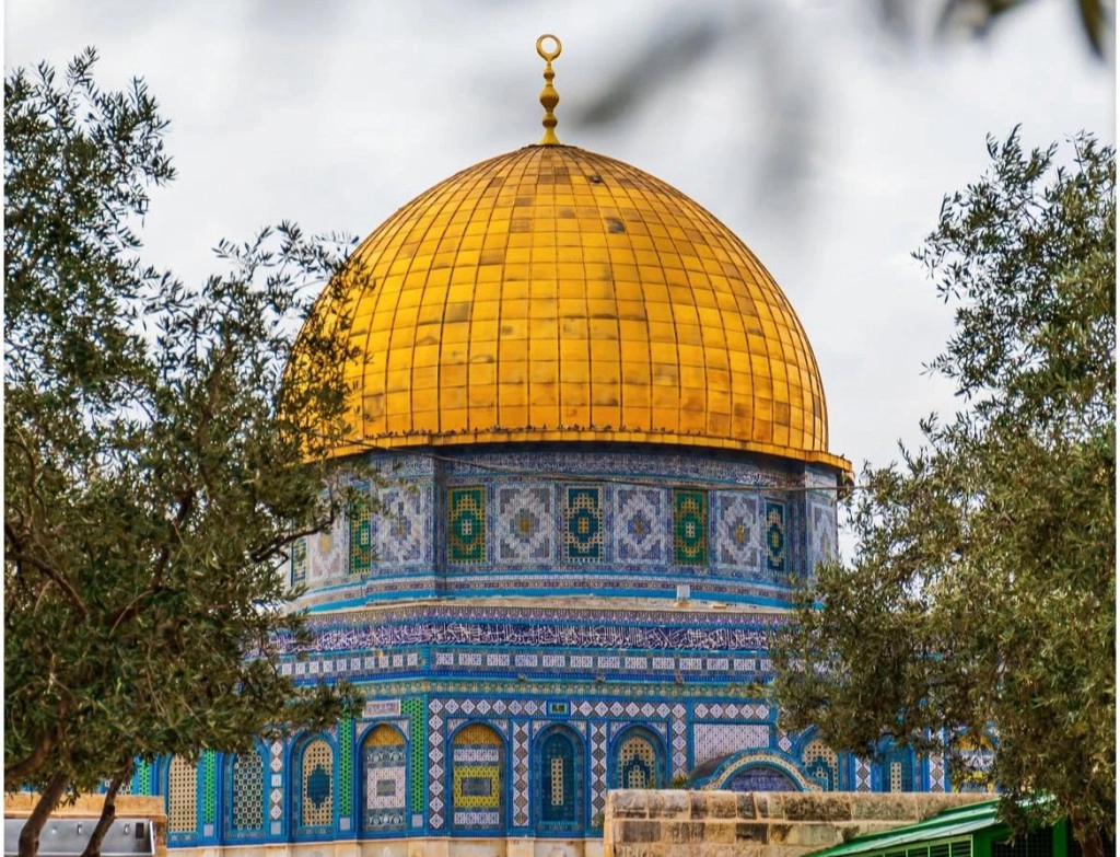 WhatsApp Image 2026-03-16 at 16.12.45.jpeg