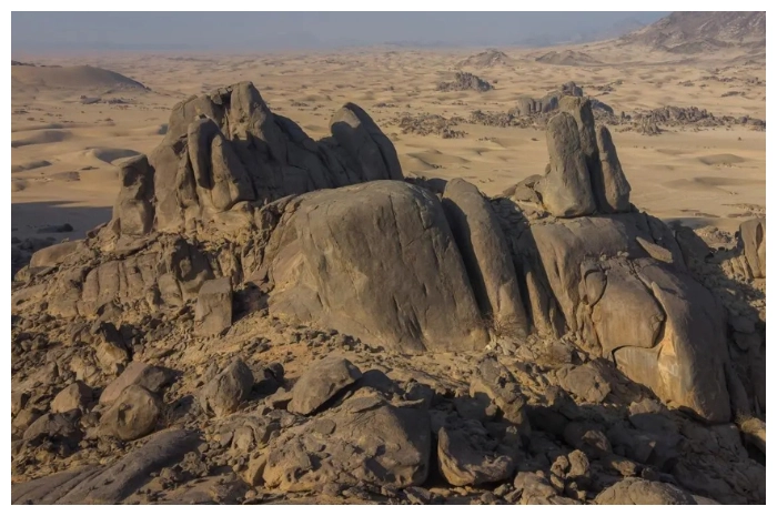 FotoJet - 2026-03-30T123415.066.jpg