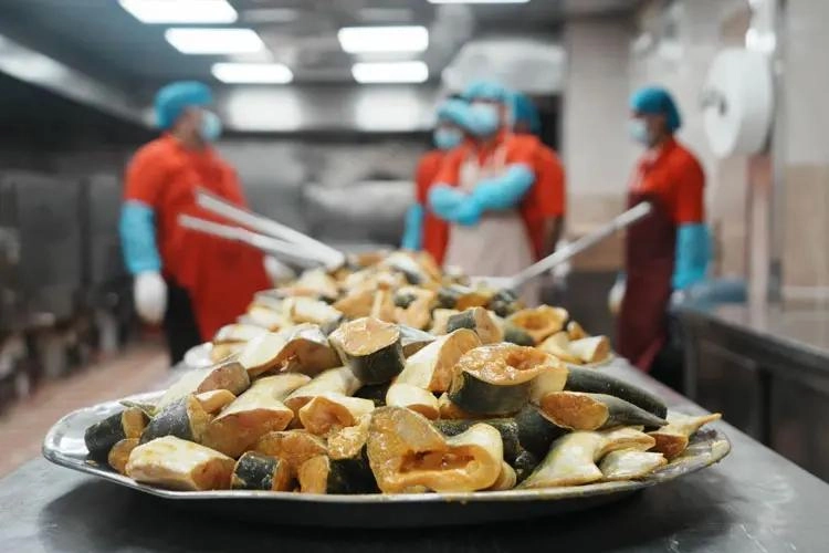 WhatsApp Image 2026-04-02 at 07.20.59.jpeg