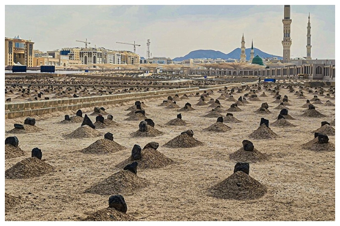 FotoJet - 2026-04-25T131548.029.jpg